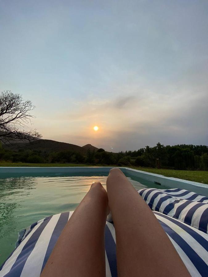 Vrisch Gewagt Boutique Self-Catering Olive Farm Casa de hóspedes Prince Albert Exterior foto