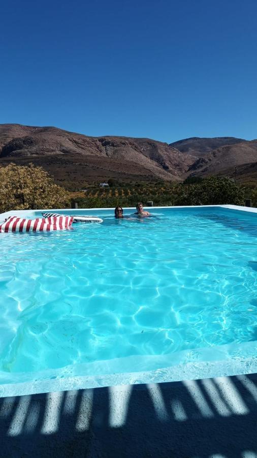 Vrisch Gewagt Boutique Self-Catering Olive Farm Casa de hóspedes Prince Albert Exterior foto
