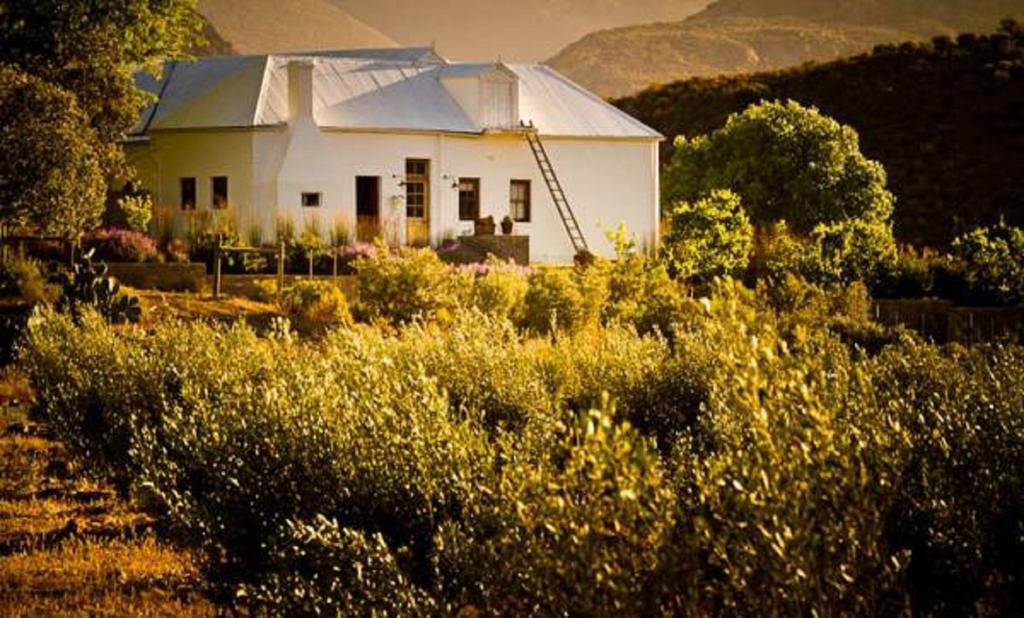 Vrisch Gewagt Boutique Self-Catering Olive Farm Casa de hóspedes Prince Albert Exterior foto