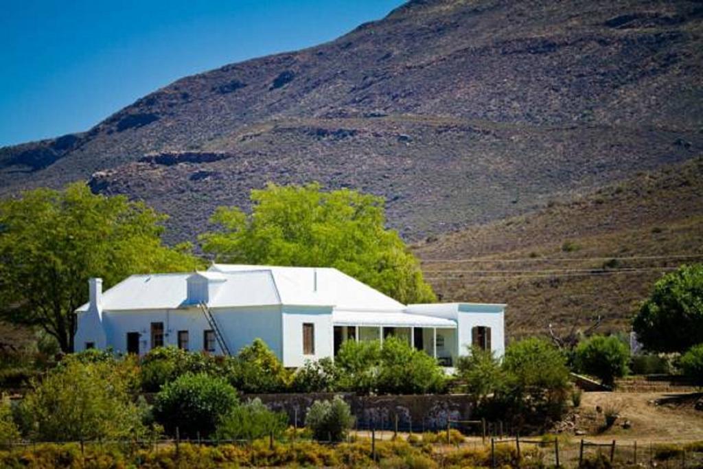 Vrisch Gewagt Boutique Self-Catering Olive Farm Casa de hóspedes Prince Albert Exterior foto