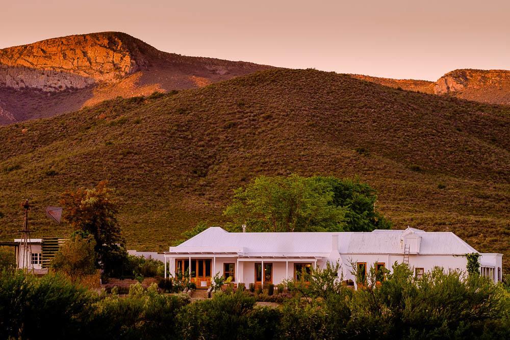 Vrisch Gewagt Boutique Self-Catering Olive Farm Casa de hóspedes Prince Albert Exterior foto